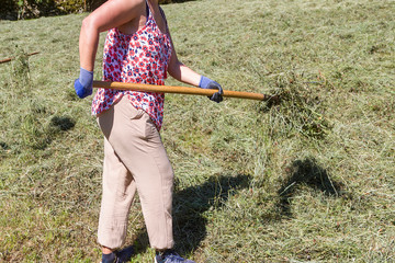 A farmer working hard in a pasture field collecting grass