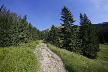 Naklejka na ściany i meble Western Tatra Mountains in the summer