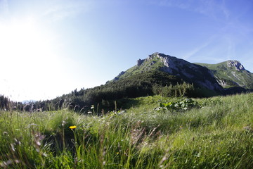 Fototapeta premium Tomanowa Przełęcz, Western Tatras