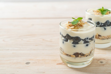 fresh blueberries and yogurt with granola
