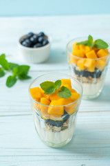 homemade mango and blueberry with yogurt and granola
