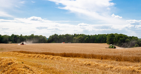 Two modern combines at work in field during wheat harvesting season on sunny day go towards each other. Harvesters harvest seeds of grain crops against backdrop of forest, sky and trucks. View afar