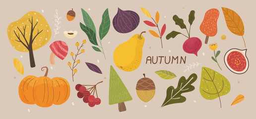 Autumn Vibes Concept. Set of trendy hand drawn autumn objects, fruits, vegetables, leaves. All elements are isolated and well drawn. Autumn mood. Colorful Cartoon Flat Vector Illustration