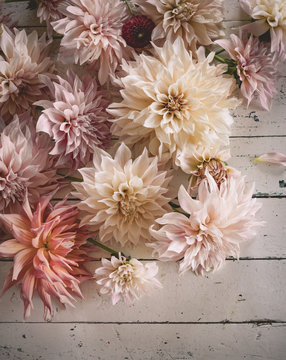 gro&szlig;e sch&ouml;ne Dahlienbl&uuml;ten auf Holztisch in hellen Pastellt&ouml;nen als Tischdekoration