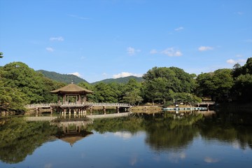 夏の奈良公園