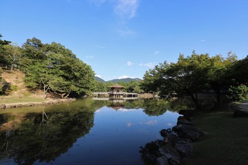 Fototapeta na wymiar 夏の奈良公園