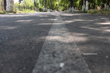 road in the park