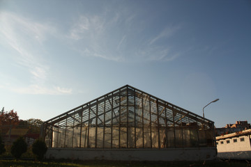 Obraz premium Big old greenhouse on sunset.