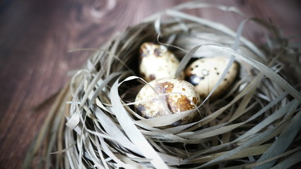 quails eggs in the nest on a wooden background