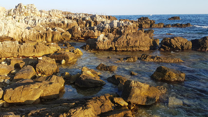 Fototapeta na wymiar Landscape in the Cap d'Antibes, South of France