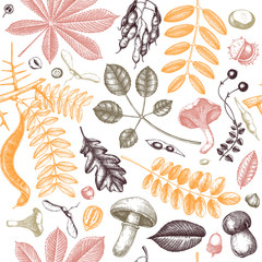 Autumn leaves seamless pattern. With hand sketched forest plants, pumpkins,nuts, berries, mushrooms illustrations. Perfect for invitation,  textile, wrapping, packaging. Elegant autumn backdrop