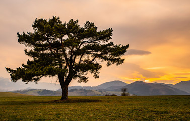 sunset in the mountains