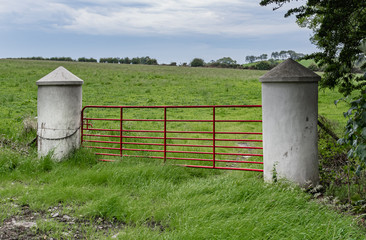 Fototapeta na wymiar A farm field gate in red painted tubular steel between two white pillar gateposts with pointed tops, leading into a meadow of green grass.