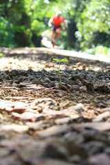 autumn in the forest, mountain bike rider