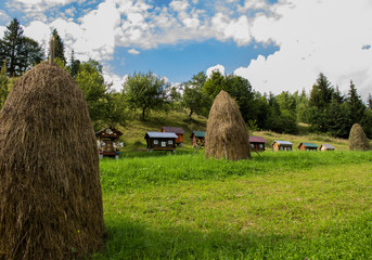 handmade houses for bee in a mountain village