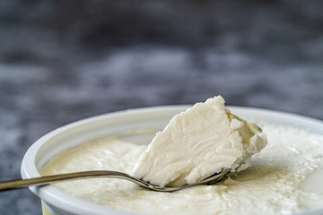 Instant Sheep Yogurt / Yoghurt with Spoon in Plastic Cup.