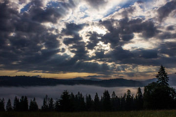 morning summer mountain landscape with fog and clouds in the sky