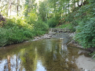 Fasetten des Laubbaches