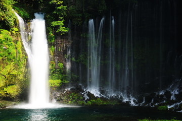 富士山の夏　天下の名瀑　白糸の滝　絹のような水流