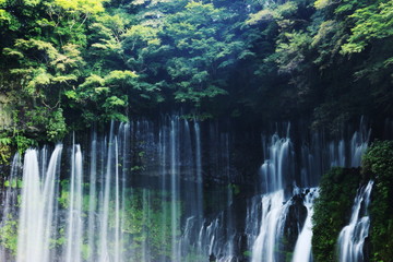 富士山の夏　天下の名瀑　白糸の滝　絹のような水流