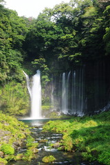 富士山の夏　天下の名瀑　白糸の滝　絹のような水流