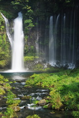 富士山の夏　天下の名瀑　白糸の滝　絹のような水流