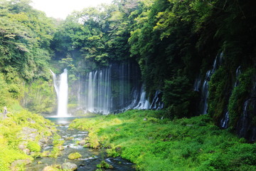 富士山の夏　天下の名瀑　白糸の滝　絹のような水流