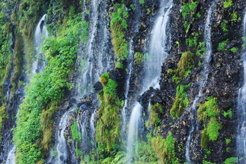 Fototapeta na wymiar 富士山の夏　天下の名瀑　白糸の滝　絹のような水流