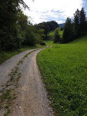 Fototapeta premium auf einer Seite der Wald und Bach, auf der anderen eine weite Wiese