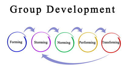 Components of Group Development Process