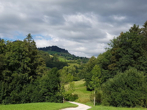 Spaziergang mit meiner Mutter und den Hunden in der wundersch&ouml;nen Gemeinde Guggisberg