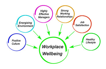 Six drivers of workplace wellbeing