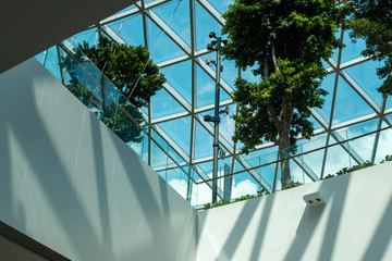SUMMER SKY AT JEWEL CHANGI AIRPORT