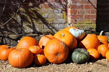 orange pumpkins and gourds in a pile on the ground outside