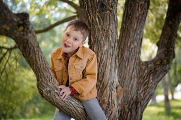 A cute little boy in a jean jacket and pants sitting on the branch of big tree by the pond making...