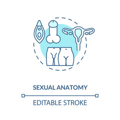 Sexual anatomy concept icon. Human physiology, sex education idea thin line illustration. Biology, male and female reproductive systems. Vector isolated outline RGB color drawing. Editable stroke
