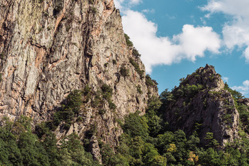 Paisaje de naturaleza con plantas y rocas en un día soleado