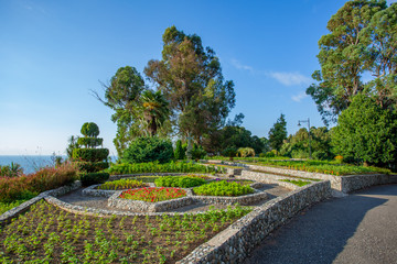 Fototapeta premium Beautiful view of Batumi Botanical Garden is located near Batumi