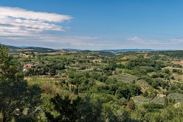 Fototapeta na wymiar Die Toskana und ihre Olivenbäume bei Montepulciano in Italien 