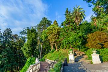Beautiful view of Batumi Botanical Garden is located near Batumi