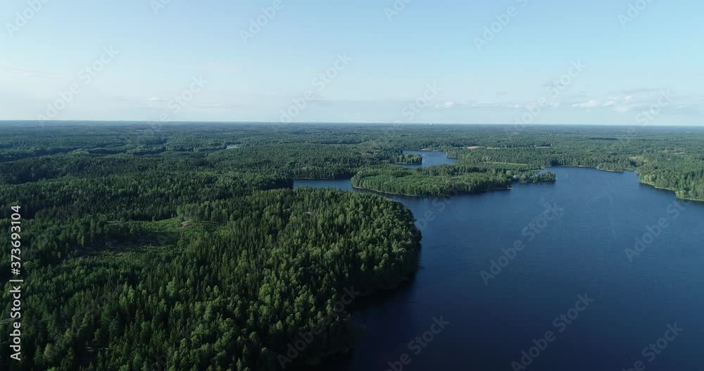 Wall mural Aerial footage of beautiful blue lake and green summer forest in Finland. Blue sky. Top view. Sunset lanscape.	 - Wall murals