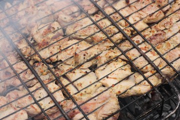 Chicken meat with spices on a barbecue grill