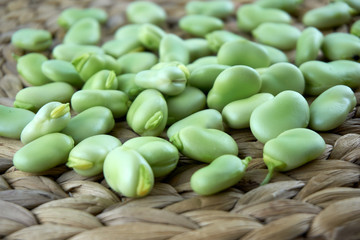 Fresh and organic raw fava, broad beans