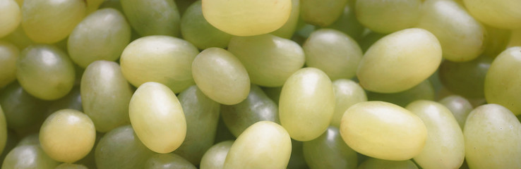 background from grapes. a bunch of green grapes close up