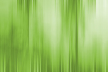 Palm Leaves - Abstract Green Natural Background with Blur