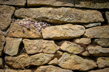 old stone wall  texture background