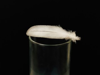 feather on black background