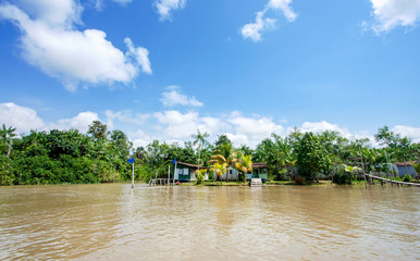 Casas de madeira de comunidade ribeirinha em beira de rio da floresta amazônica, na ilha do...