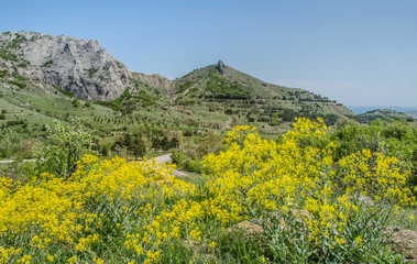 Rocks higher then green valley. Road hidden in the trees. Nice panorama with yellow flowers in foreground and high rocks in background colored by sunny day. Krim