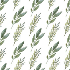 Watercolor seamless pattern with sage and rosemary  on the light background. Bright cartoon hand-painted illustration.
